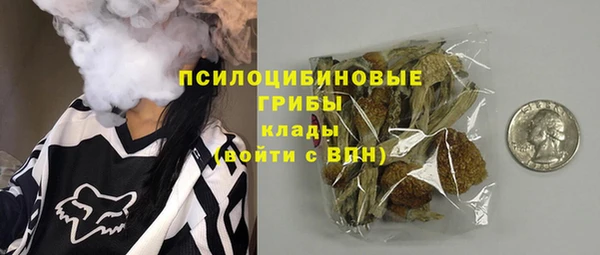 дживик Аркадак