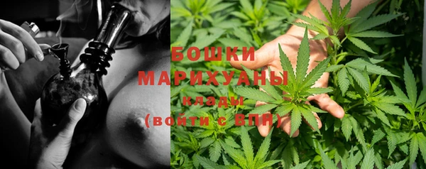 дживик Аркадак
